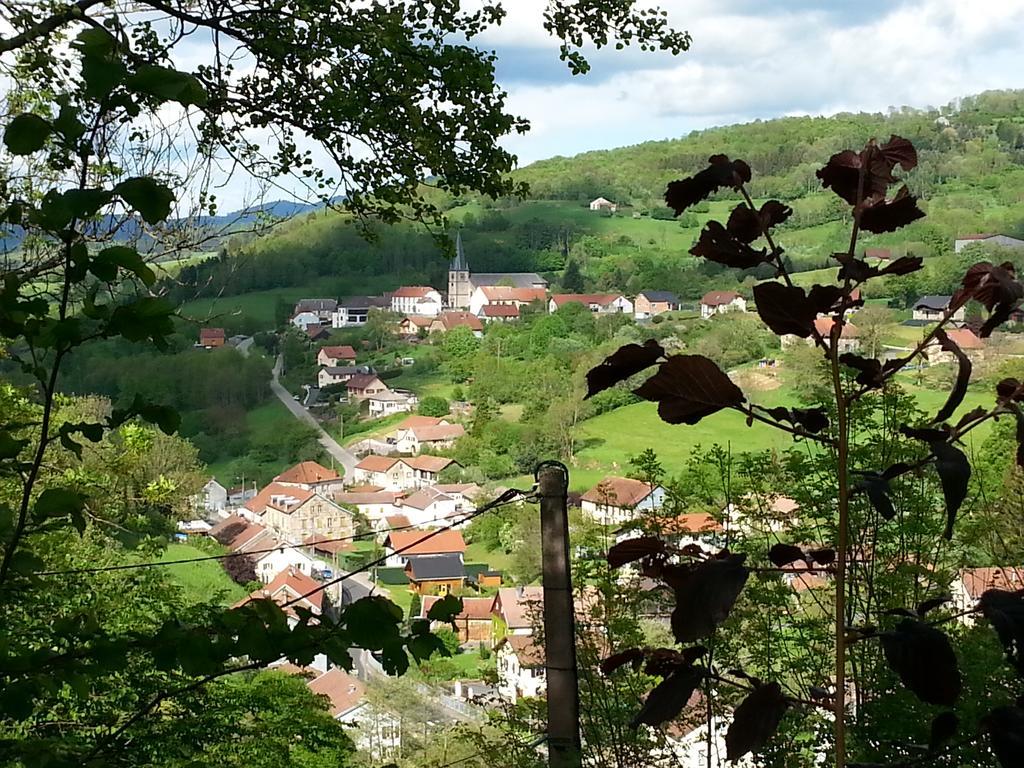 Giteovosges La Croix-aux-Mines Zewnętrze zdjęcie
