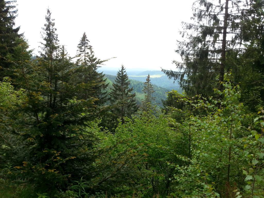Giteovosges La Croix-aux-Mines Zewnętrze zdjęcie