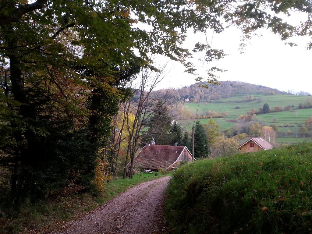 Giteovosges La Croix-aux-Mines Zewnętrze zdjęcie