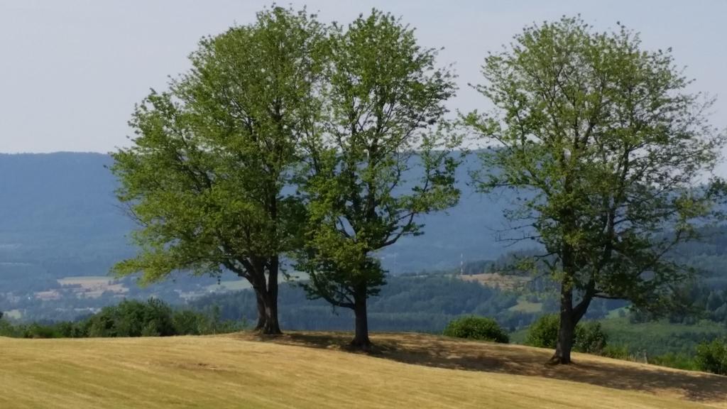 Giteovosges La Croix-aux-Mines Zewnętrze zdjęcie
