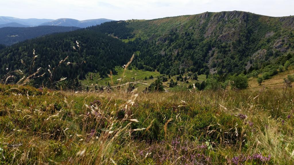 Giteovosges La Croix-aux-Mines Zewnętrze zdjęcie
