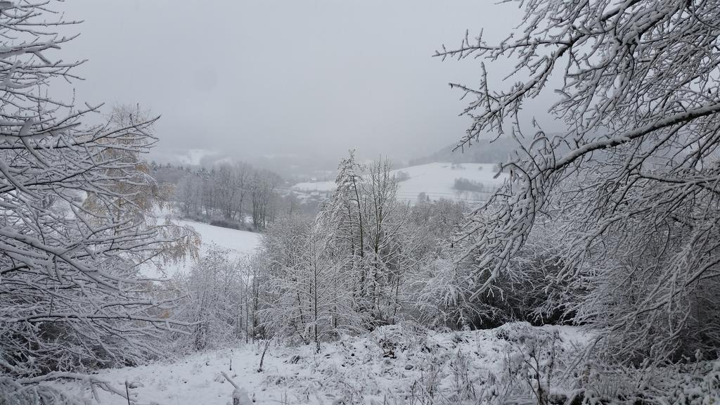 Giteovosges La Croix-aux-Mines Zewnętrze zdjęcie