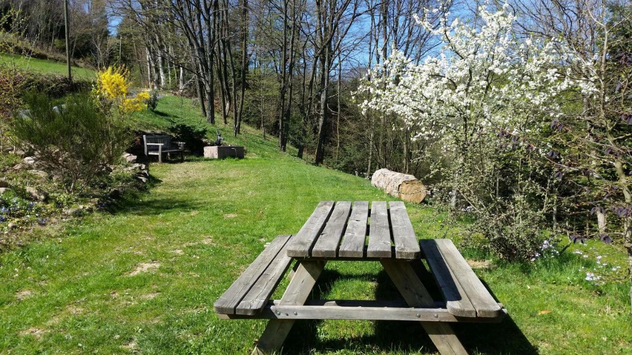 Giteovosges La Croix-aux-Mines Zewnętrze zdjęcie